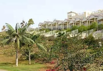 Gran Oasis